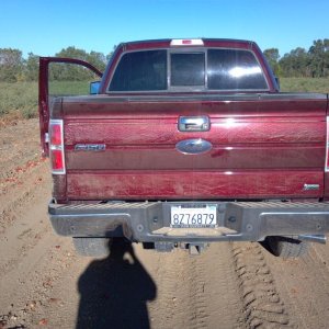 F-150 First Detail