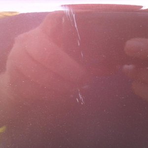F-150 First Detail