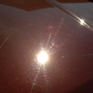 F-150 First Detail