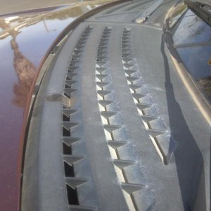 F-150 First Detail