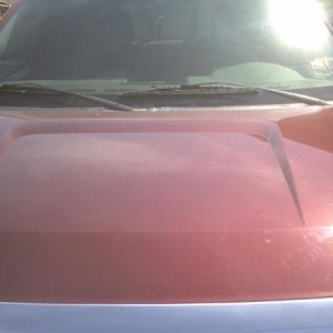 F-150 First Detail