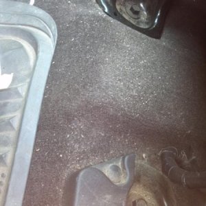 F-150 First Detail