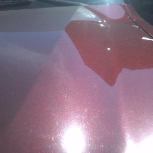 F-150 First Detail
