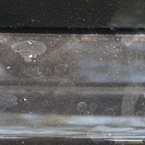 600_DSC00091