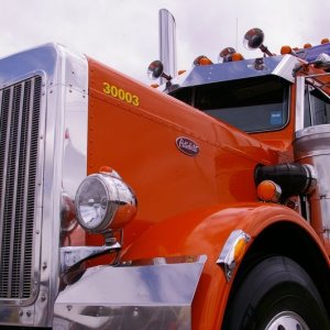 IMGP6806