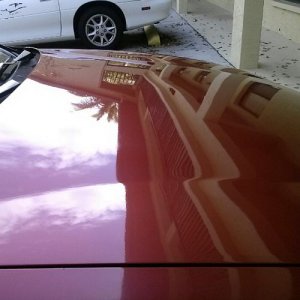 600_Corrected_1