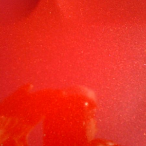 98_resize_after_2nd_coat_845