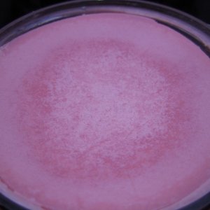 02_-_Mini_-_Good2