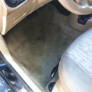 photo_46