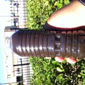 photo47