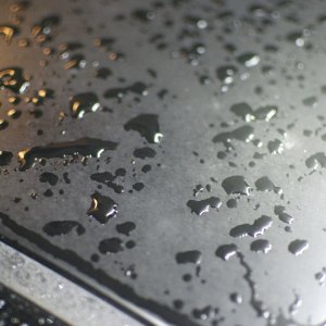 Pre_Detail_002