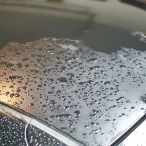 Pre_Detail_003