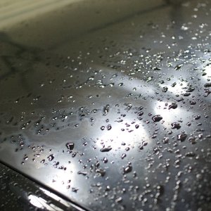 Pre_Detail_005