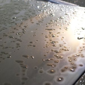 Pre_Detail_006