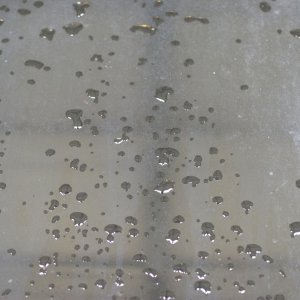 Pre_Detail_009