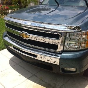 photo_19