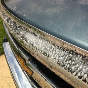photo_39