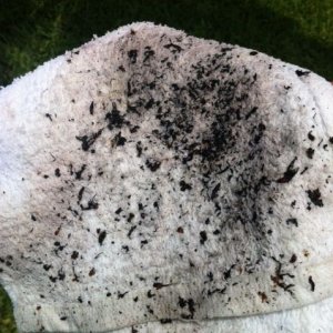 photo_47
