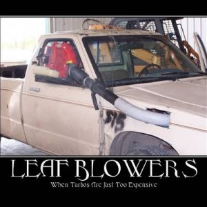 leafblower1