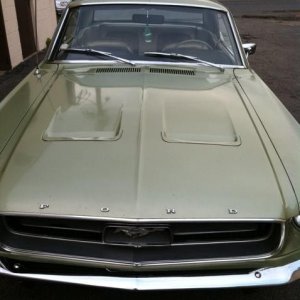 1967 Mustang Squareback with single stage paint Mike Phillips