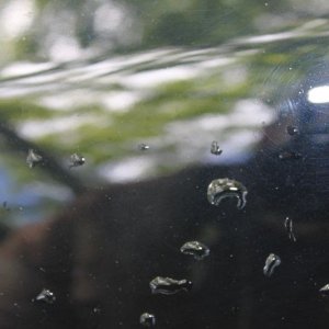 600_IMG_5028