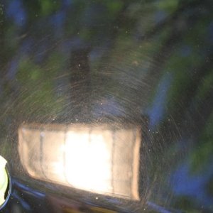 600_IMG_5053