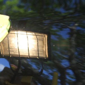 600_IMG_5054