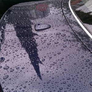 600_IMAG0165