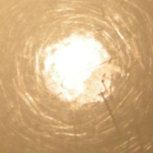 before_close_up
