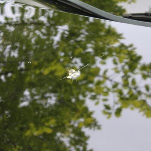 600_IMG_5073
