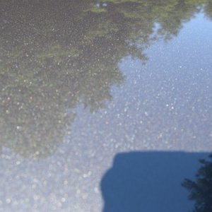 Roof_after4