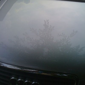 audi_re3