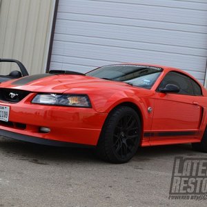 Mustangs