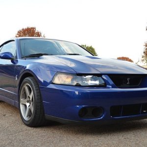 Mustangs