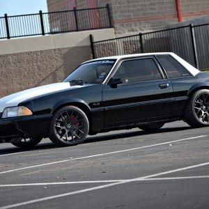 Mustangs