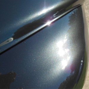 DSCN0146