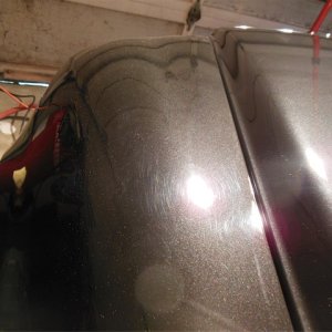 DSCN0095
