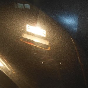 DSCN0082