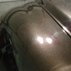 DSCN0088