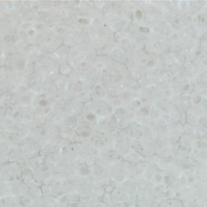LC_CCS_White