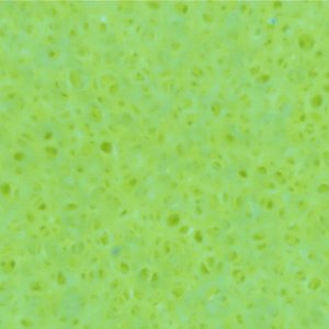 LC_CCS_Yellow