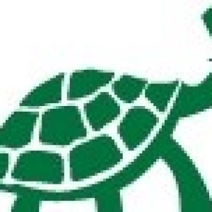 TurtleWaxLogo