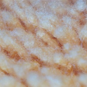 CarPro_Orange_MF_x800