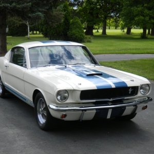 ShelbyAAA