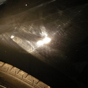 driver_wheel_fender_2