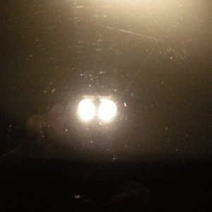 trunk_1