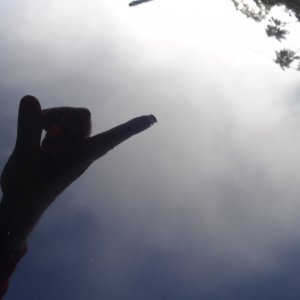 Wetsanding defect2