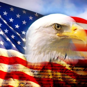 bald_eagle_head_and_american_flag1