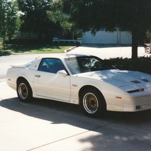 TTA1