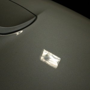 IMG_5434